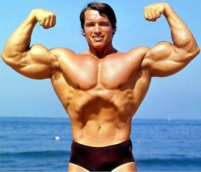What does steroids do to your body Body Building