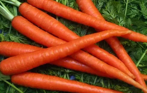 What are the disadvantages of eating carrots for male and female