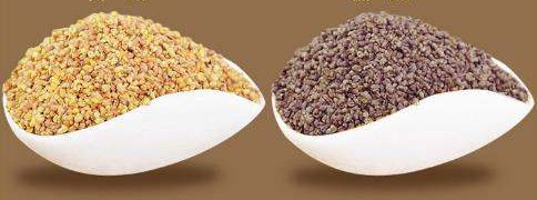 What are the benefits of buckwheat tea for the body