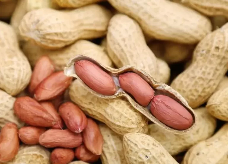 What is the benefits of eating peanuts in early morning