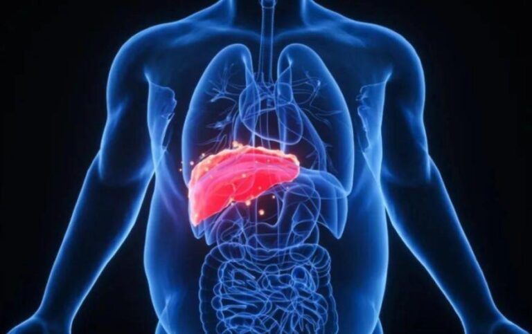 Best food and fruit for nourish the liver and makes healthy liver