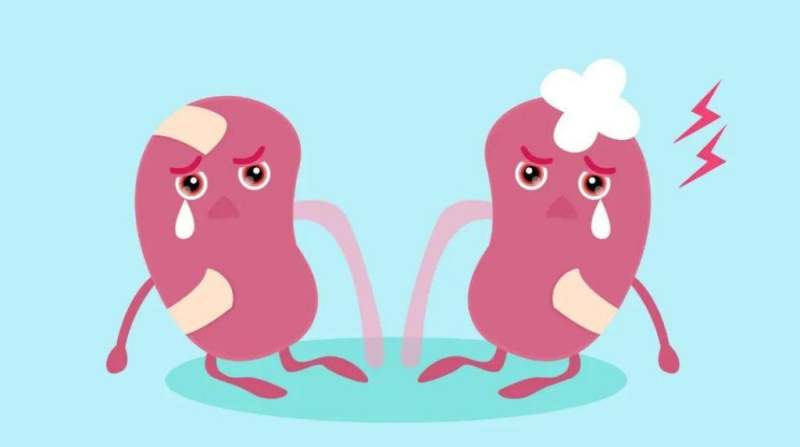 How to prevent chronic nephritis from developing to uremia?