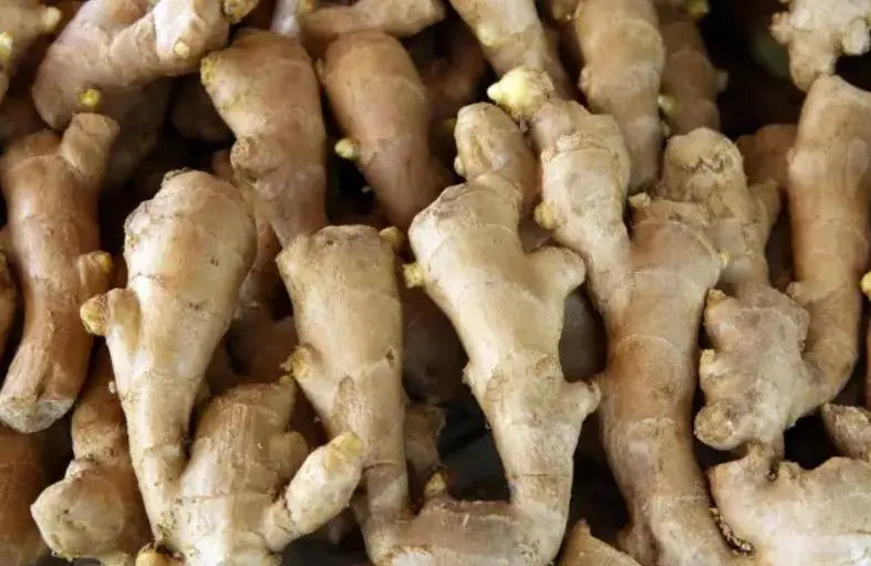 benefits of eating ginger 