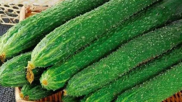 What are the benefits of cucumbers to the body