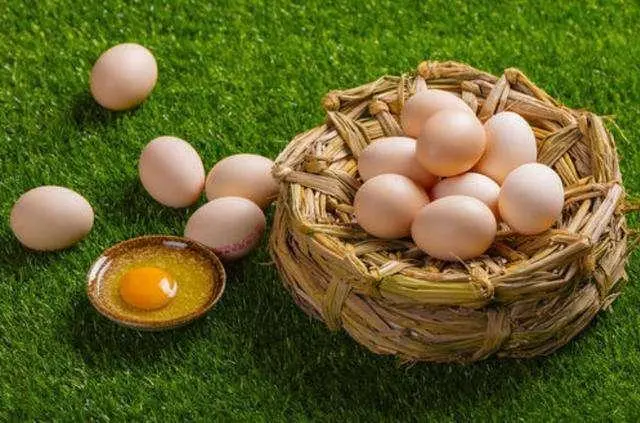 benefits of eating eggs regularly 