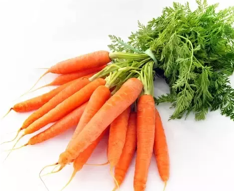 What are the disadvantages of eating carrots for male and female