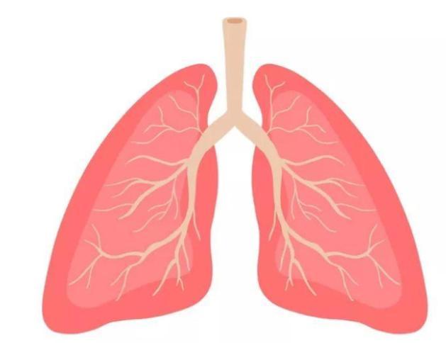 what is the sign of bad lungs and how to nourish lungs 