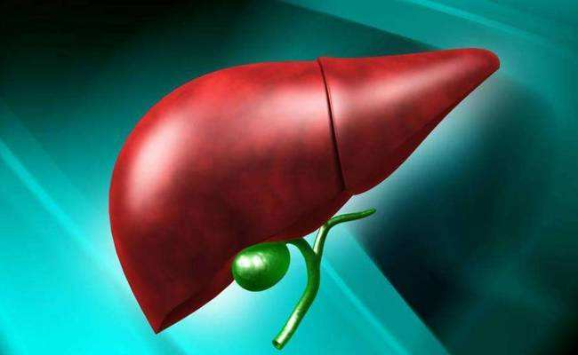 Which foods can effectively help the liver detoxify and protect the liver