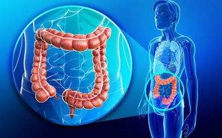 How to regulate intestinal function what to eat