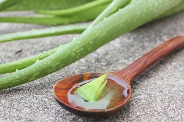 Natural aloe vera gel vs store bought which one is best 