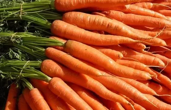 What are the disadvantages of eating carrots for male and female