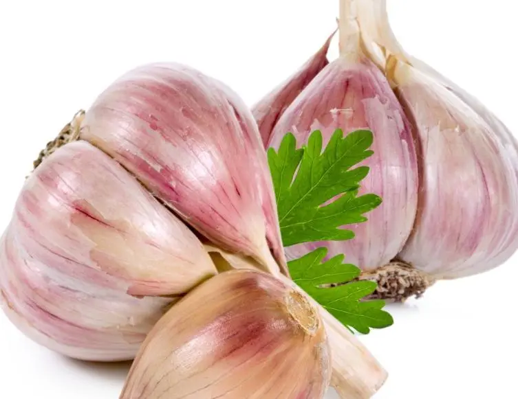 benefits of eating garlic 