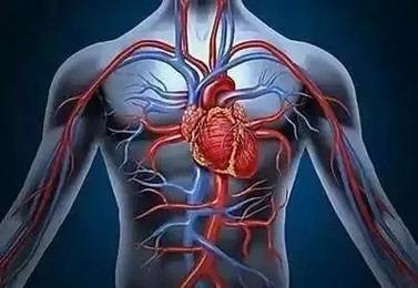 Deficiency of lipids in human body