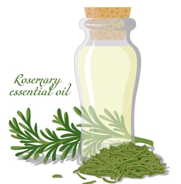 What is the benefits of using Oil made from rosemary
