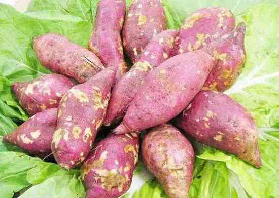 What is the effect and function of eating sweet potato