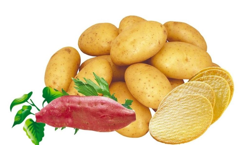 How many potatoes should i eat a day to gain weight