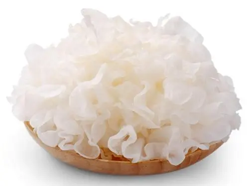 what is the benefits of eating tremella 