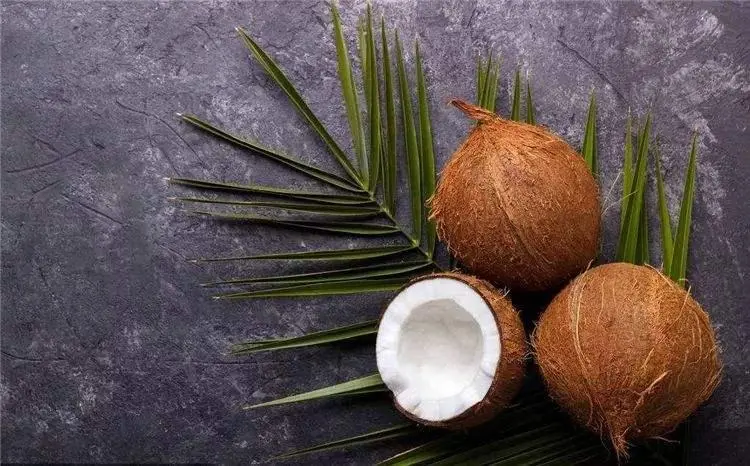 benefits of eating coconut in summer