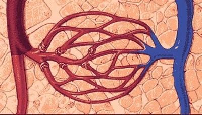 What are the signs of cholesterol 