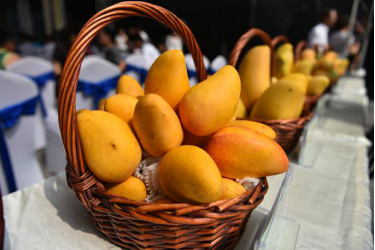 What is the role and efficacy of mango