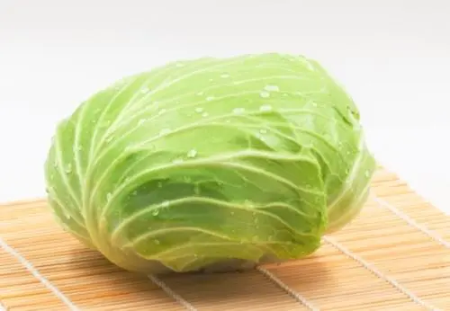 benefits of eating cabbage 