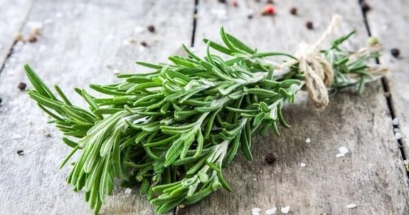 What is the benefits of using Oil made from rosemary 