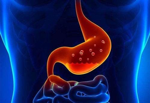 How to regulate intestinal function what to eat