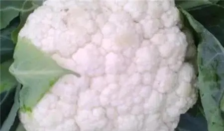 benefits of eating cauliflower 