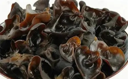 benefits of eating black fungus 