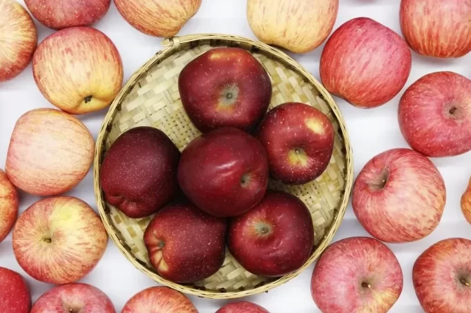 What are the benefits of eating apples?