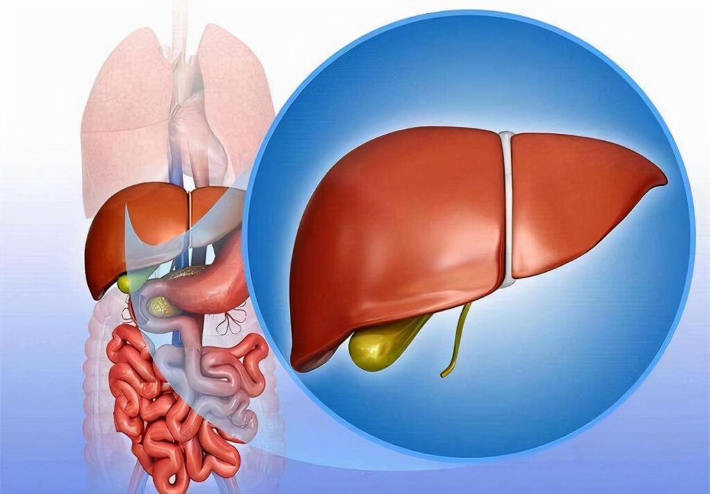  What foods are good for liver repair sign of liver disease 