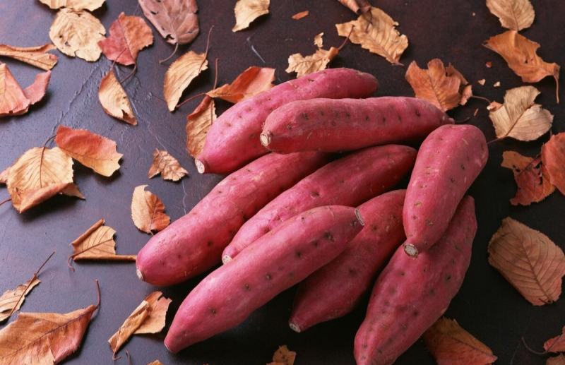 benefits of eating sweet potato 