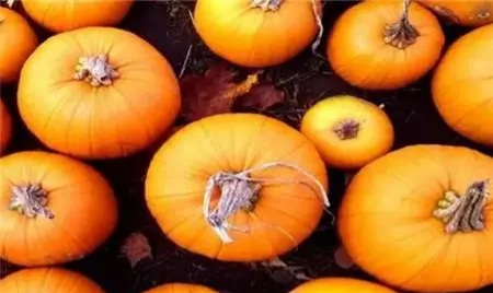 benefits of eating pumpkin 