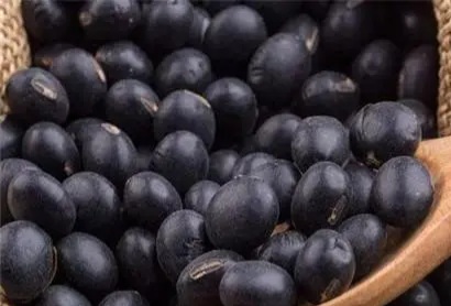 benefits of eating blueberries 