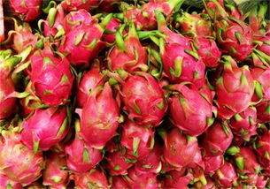 Can you lose weight by eating a dragon fruit a day