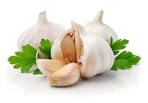benefits of eating garlic 