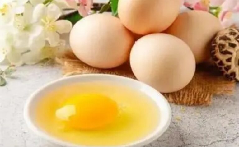 What are the benefits of eating eggs every day to prevent cancer and lose weight