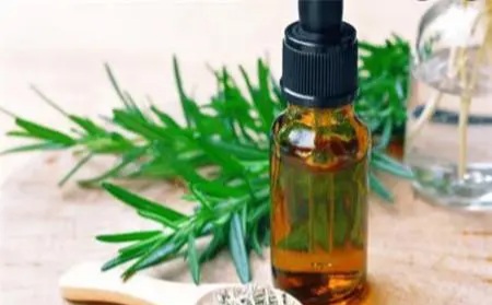 benefits of using essential oils