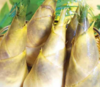 what are the benefits of eating bamboo shoots 