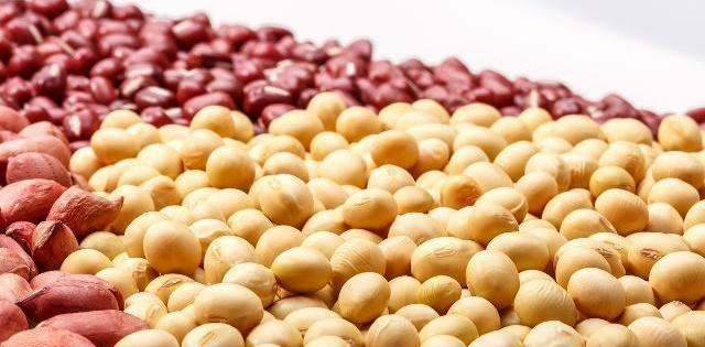 Which soy milk is more suitable for black beans or soybeans