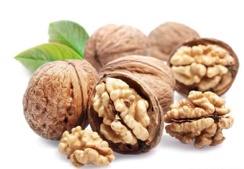 Eating walnuts can improve the human digestive system