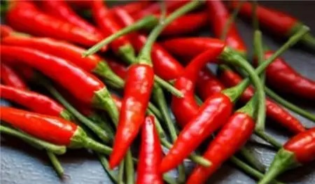 Eating chili peppers can reduce the risk of gastrointestinal cancer 