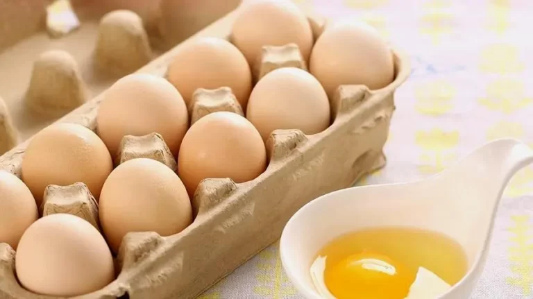 What are the different between people who eat eggs and who do not eat eggs