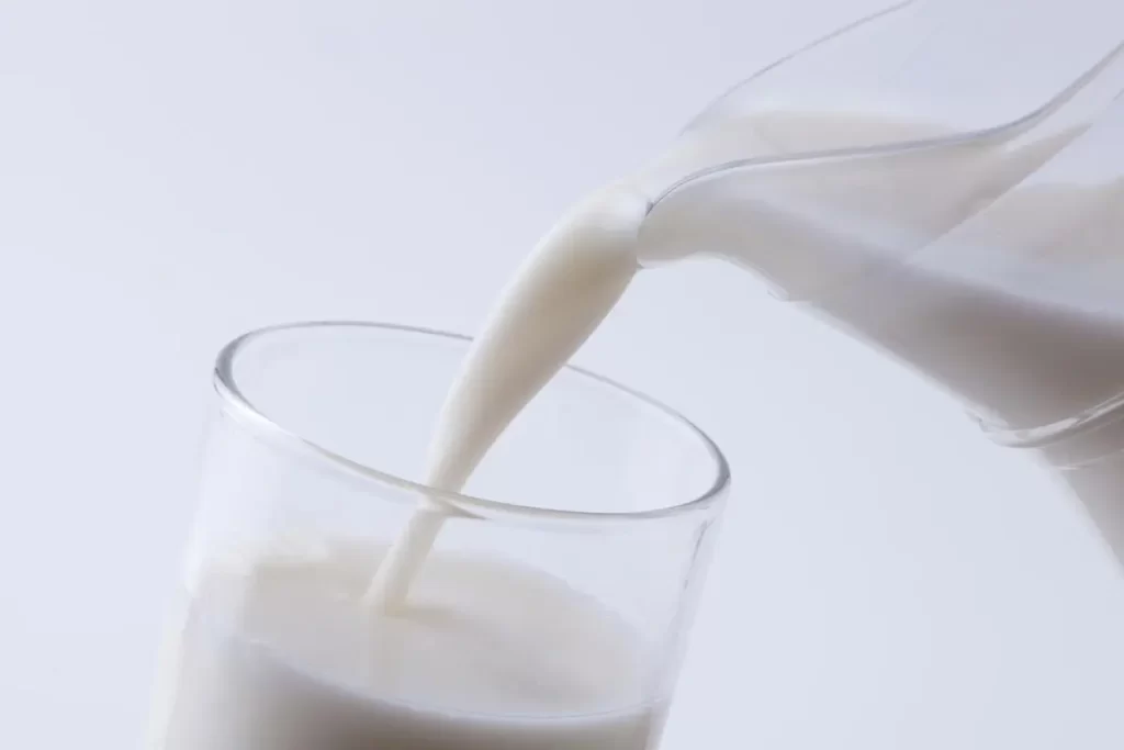 What are the contraindications to drinking milk?