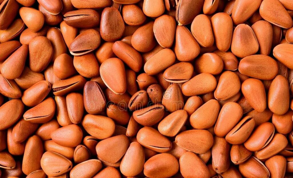 What are the benefits of eating pine nuts