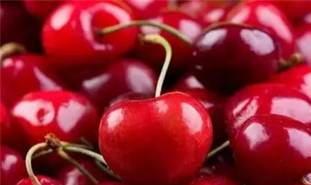 benefits of eating cherry