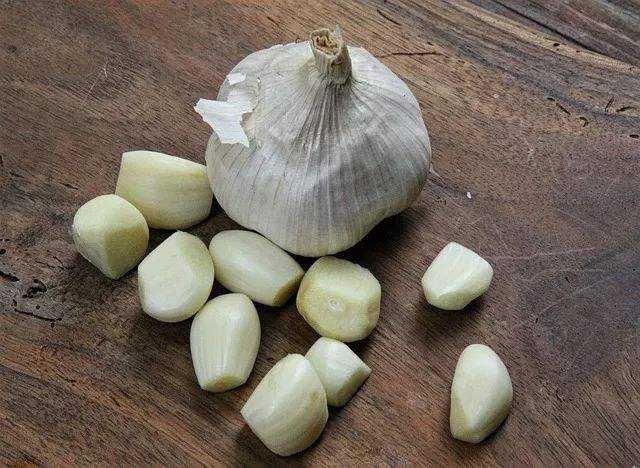 What are the health benefits of eating garlic regularly for female and male 