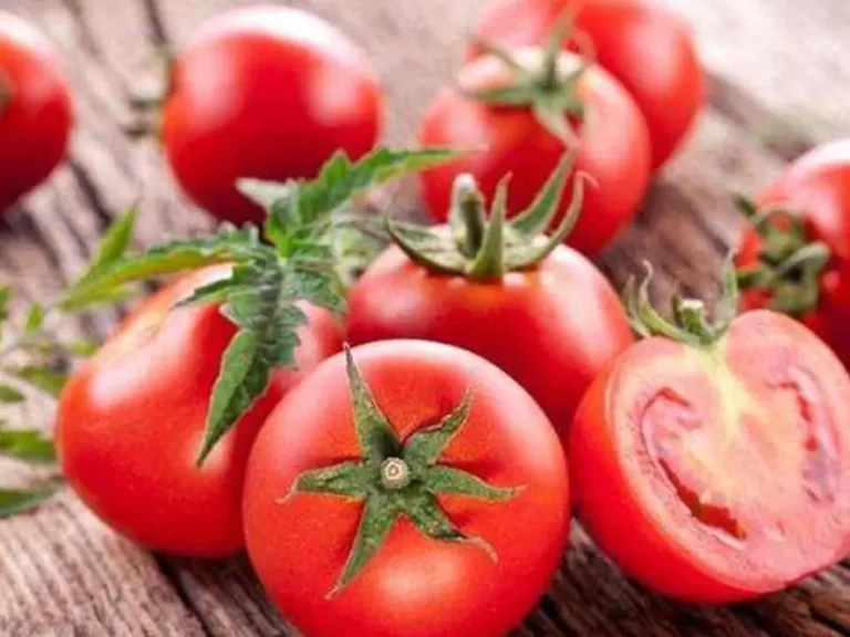What precautions should i take when eating tomatoes