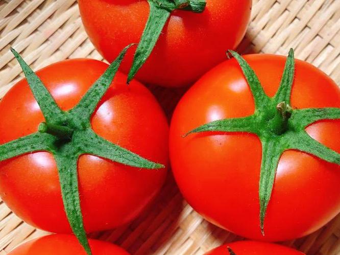 What precautions should i take when eating tomatoes