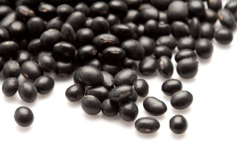 What is the nutritious way of eating black beans
